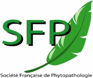 https://www.sfp-asso.org/presentation